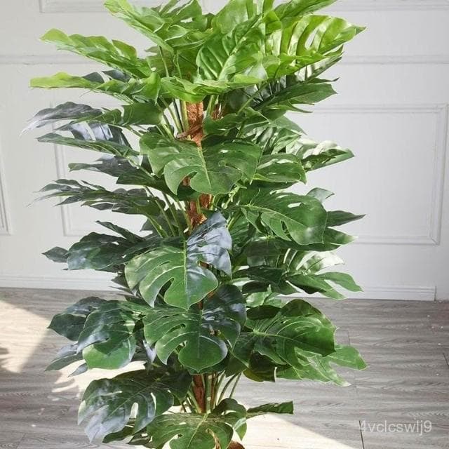 北歐ins滴水觀音仿真龜背竹盆景小散尾擺件盆栽裝飾落地植物樹客