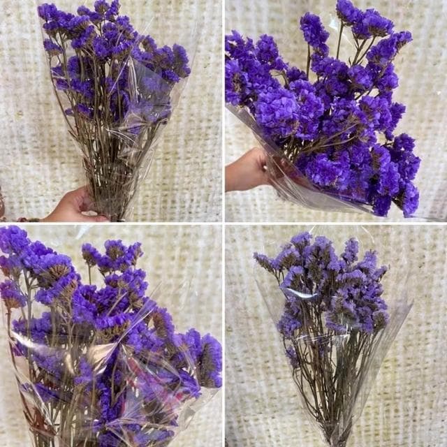 大把乾燥花 星辰/滿天星/情人草/卡斯比亞 乾燥花花束 永生花 情人節禮物 生日禮物 拍照道具背景 餐廳佈置