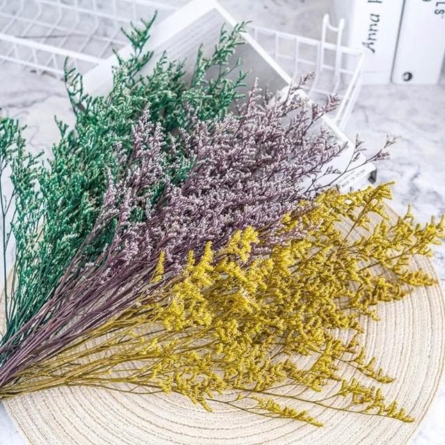 大把乾燥花 星辰/滿天星/情人草/卡斯比亞 乾燥花花束 永生花 情人節禮物 生日禮物 拍照道具背景 餐廳佈置