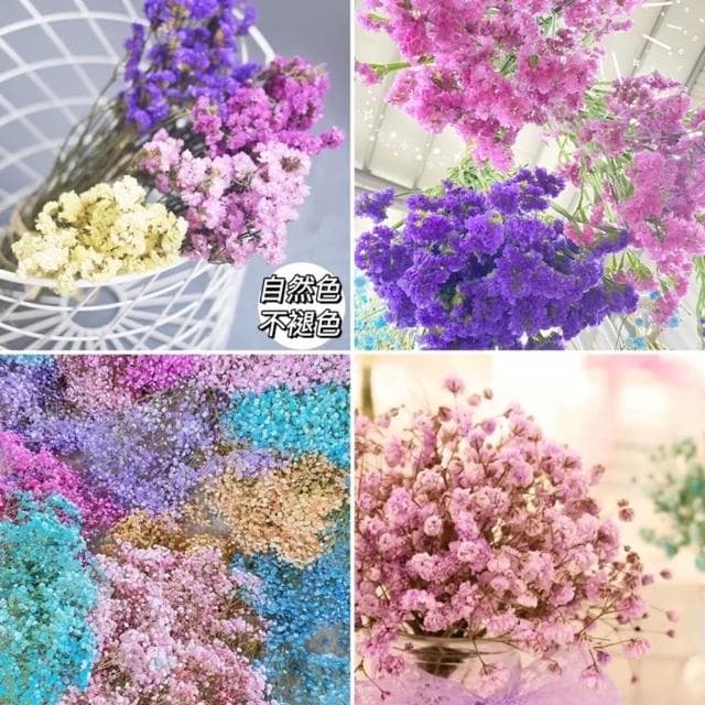 大把乾燥花 星辰/滿天星/情人草/卡斯比亞 乾燥花花束 永生花 情人節禮物 生日禮物 拍照道具背景 餐廳佈置