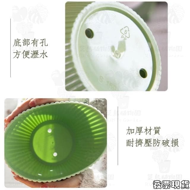 沐晨植物園｜花盆 塑膠花盆 白色花盆 盆栽 塑膠盆 盆栽容器 圓形花盆 北歐花盆花器 盆器 透氣花盆 控根盆