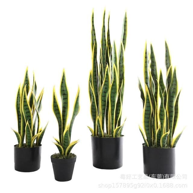 百信百貨 免運 仿真金邊虎皮蘭蝴蝶蘭盆栽假綠植裝飾落地熱帶沙漠仿生植物擺件