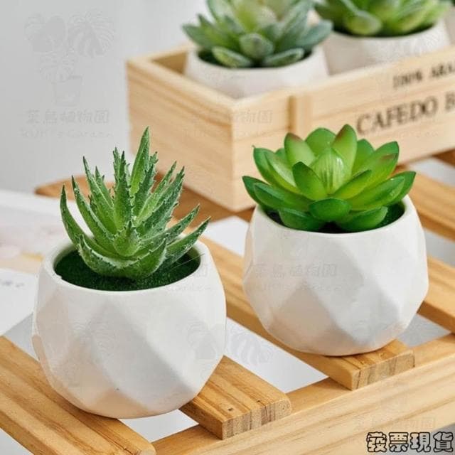 沐晨植物園｜仿真植物 仿真多肉 盆栽裝飾 小盆栽假植物 假盆栽 辦公室盆栽 迷你盆栽 仿真盆栽 仿真植物盆栽 居家裝飾