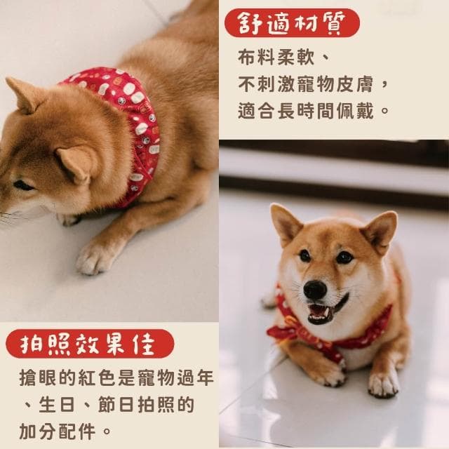 現貨｜寵物 狗狗 貓貓 毛孩 領巾 可愛 新年 過年 生日 抓周 婚禮 節慶 喜氣 喜慶 裝飾 ｜GoGraphy