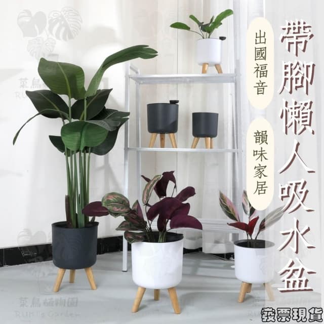 沐晨植物園｜懶人花盆 懶人盆栽 吸水花盆 自吸水花盆  免澆水花盆 自吸水花盆