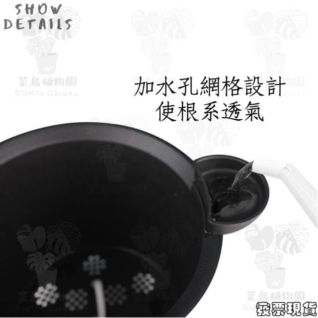 沐晨植物園｜懶人花盆 懶人盆栽 吸水花盆 自吸水花盆  免澆水花盆 自吸水花盆
