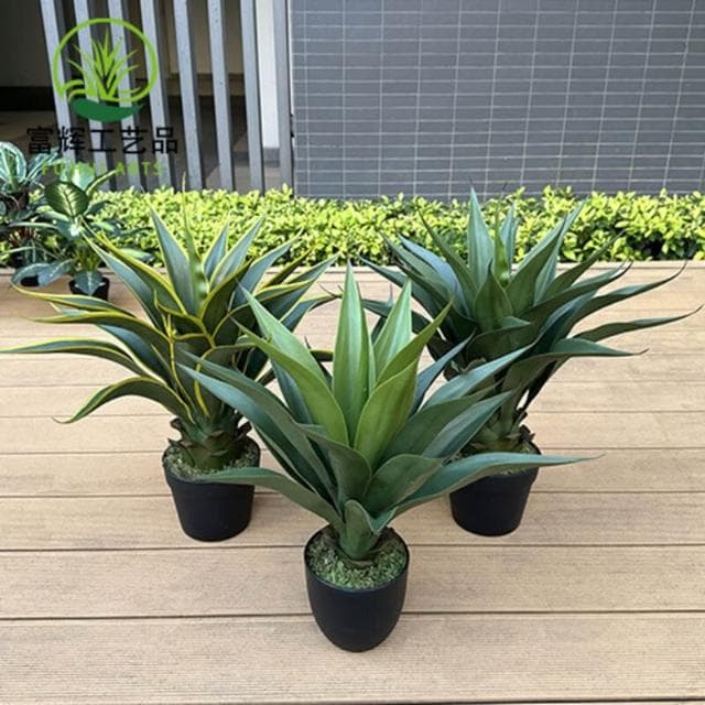 百信百貨 免運 仿真綠植皇冠蘭盆栽花卉盆景擺件假植物劍麻高端室內假龍舌蘭