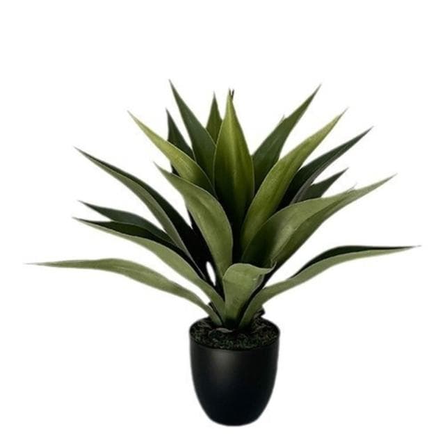 百信百貨 免運 仿真綠植皇冠蘭盆栽花卉盆景擺件假植物劍麻高端室內假龍舌蘭