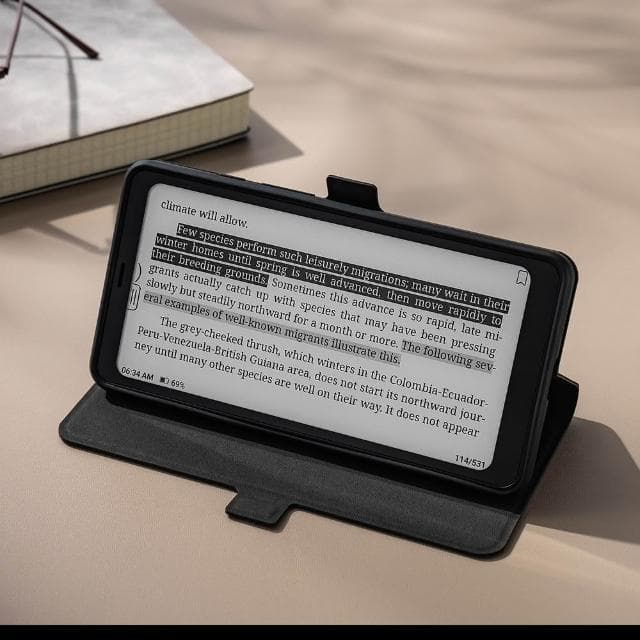 【BOOX 文石】BOOX Palma 2｜6.13 吋手機型電子書閱讀器(爵士黑)，含翻頁式皮套 ★全新現貨★