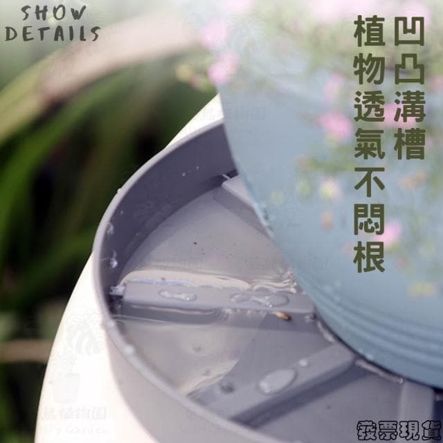 沐晨植物園｜花盆底盤 水盤 塑膠底盆 底盤 花盤托盤 接水盤 盆栽底盤 塑膠托盤 透明水盤 園藝 植物底盤