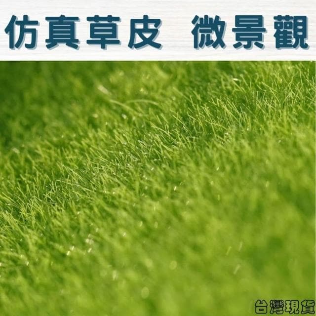 沐晨植物園｜仿草皮 假草皮 裝飾草皮 人造草皮 多肉裝飾 生態瓶配件 盆栽裝飾 微景觀配件 公仔 迷你園藝 微景觀擺件