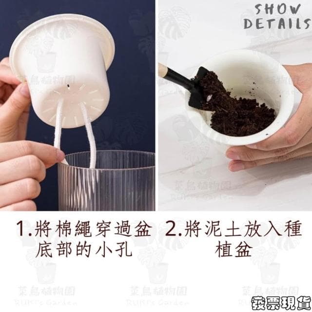 沐晨植物園｜懶人花盆 懶人盆栽 吸水花盆 自吸水花盆  免澆水花盆 吸水盆栽 室內花盆 