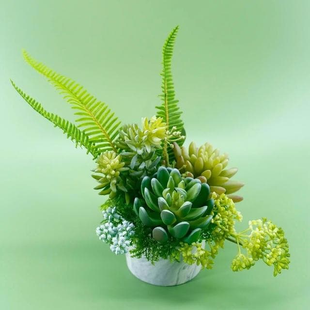 【HUGO DECO 榆果傢飾】羊齒蕨多肉組合香氛植物(擬真植物/人造盆栽/綠化/佈置/禮物)