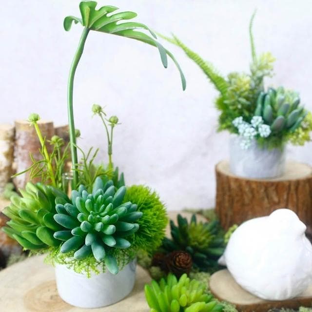 【HUGO DECO 榆果傢飾】春雨葉多肉草球香氛植栽(擬真植物/人造盆栽/綠化/佈置/禮物)