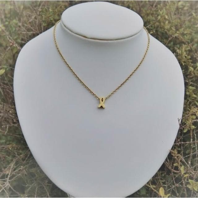 【耶穌魚 醫療鋼項鍊】基督教 福音禮品 受洗禮物 生日 聖誕節 禮物 耶穌 搬家喬遷 聖經故事 恩典之約禮物店