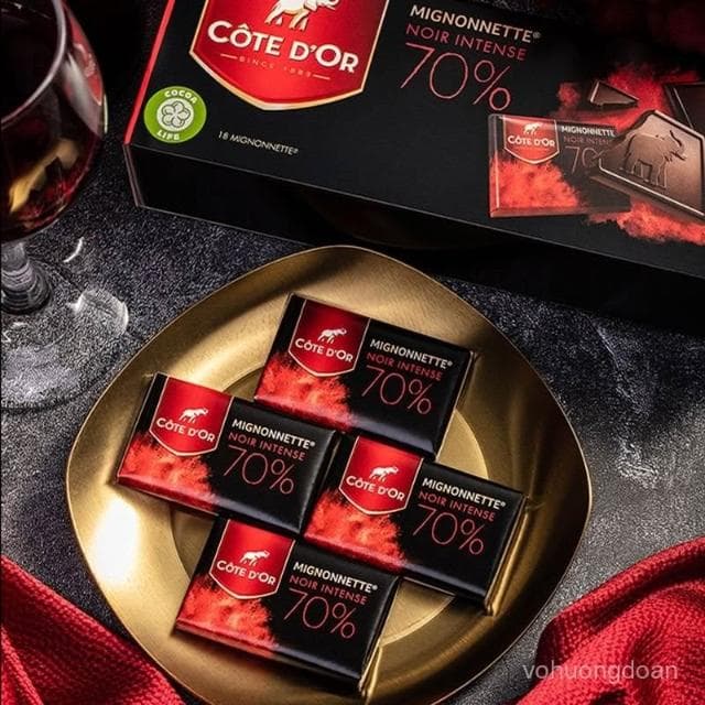 心心相印 波蘭進口零食 克特多金象黑巧克力/牛奶巧克力排塊240g 節日禮物