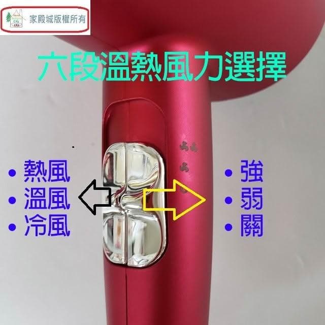 【達新牌】達新 TS-2969 銀離子抗菌負離子吹風機