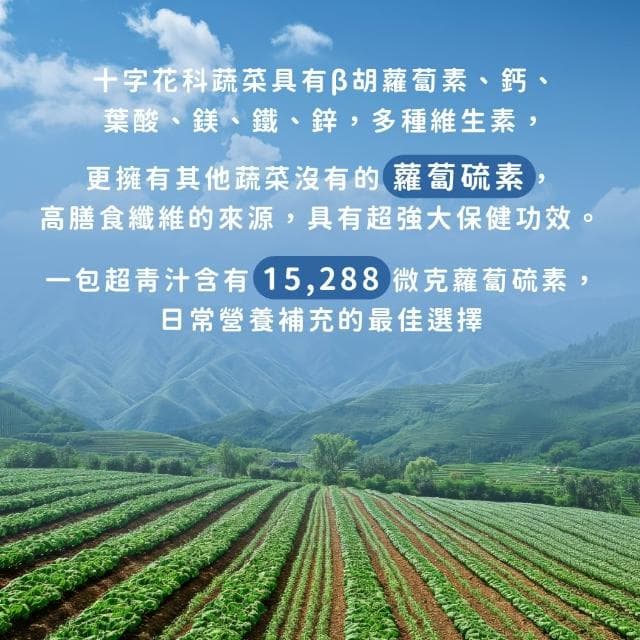 【Dr. Ginger 薑博士】超青汁30日養成禮盒(附提袋/送禮推薦/中秋節/教師節/長輩/伴手禮)