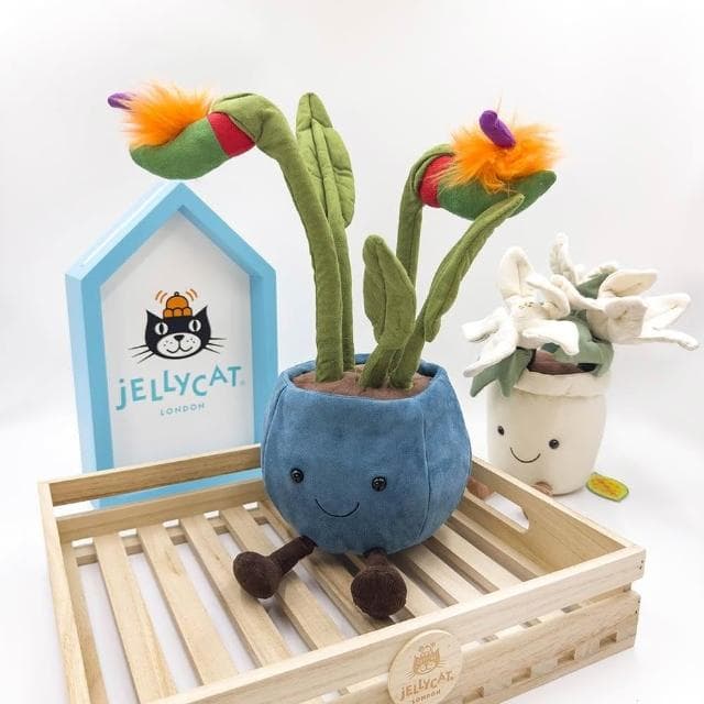 【JELLYCAT】植物系列  盆栽玩偶  (不附防塵袋，可自行加購) 聖誕樹/天堂鳥/花束/鬱金香/聖誕紅/仙人掌/食人花 合法報關商檢