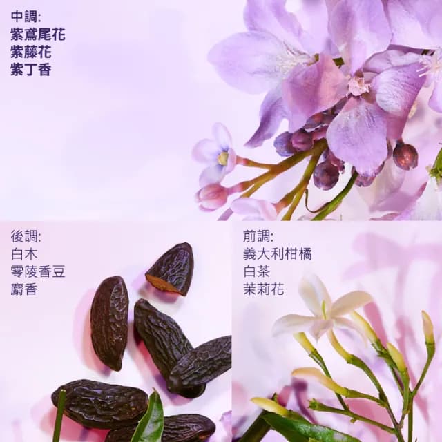 【伊麗莎白雅頓】官方直營 白茶紫鳶尾香水100ml