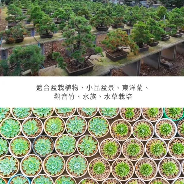 【瘋狂植物社】日本赤玉土2公升裝-中粒7~15mm(盆栽植物、小品盆景、東洋蘭、觀音竹、水族、水草栽培)