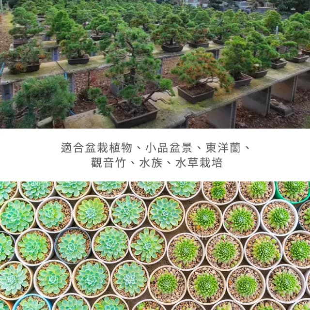 【瘋狂植物社】日本赤玉土2公升裝-細粒1~3mm(盆栽植物、小品盆景、東洋蘭、觀音竹、水族、水草栽培)