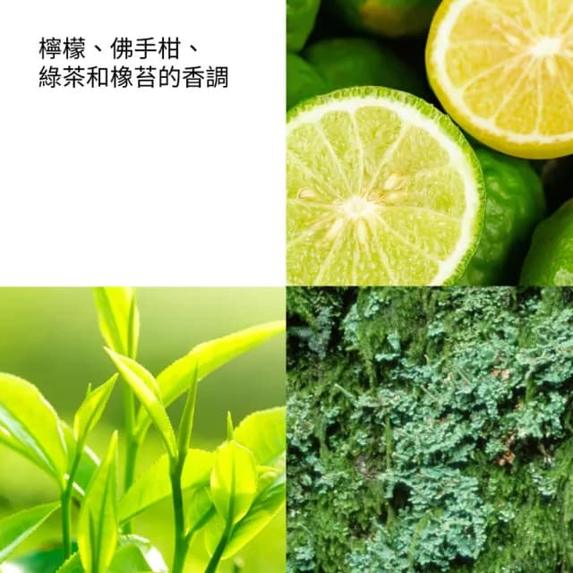 【伊麗莎白雅頓】官方直營 超人氣綠茶香水沐浴膠組500ml 3入(沐浴乳/沐浴膠)