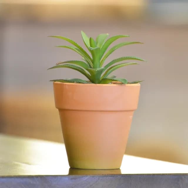 【YU Living 信歐傢居】迷你人造陶盆植物四件組 仿真植物盆栽(四件一組/綠色)