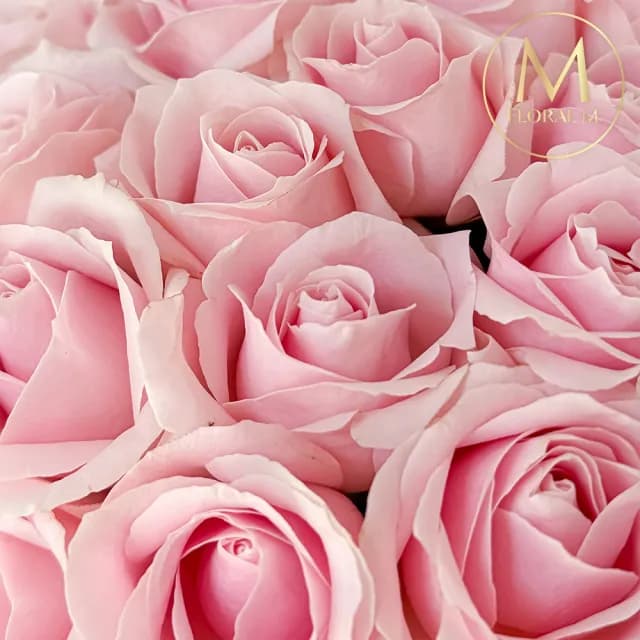 【Floral M】Pink Lover 粉色戀人玫瑰鮮花花束(鮮花花束/花禮/買花/送禮/玫瑰/情人節生日告白求婚)