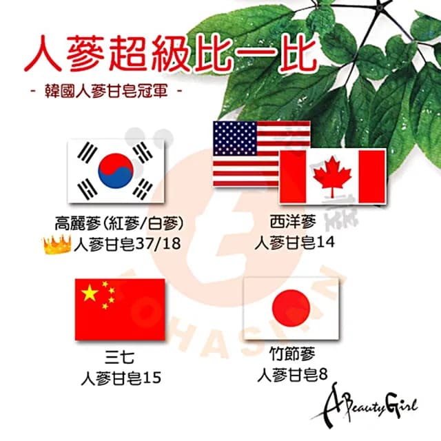 【金蔘】韓國高麗人蔘精華液禮盒(120ml*5瓶 共5盒)