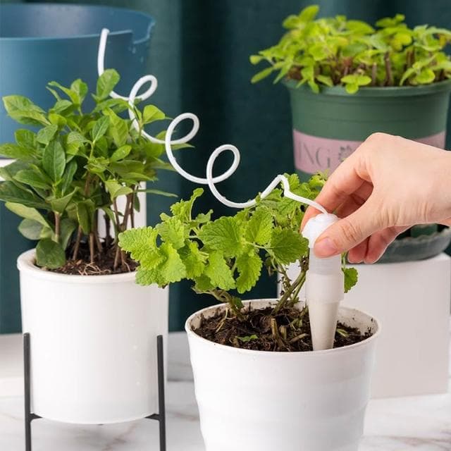 台灣現貨 ️一盆水可自動澆灌多盆植物 自動澆水器 自動澆水 懶人盆栽 澆花 澆水 澆花器 澆水器 日式滲水器