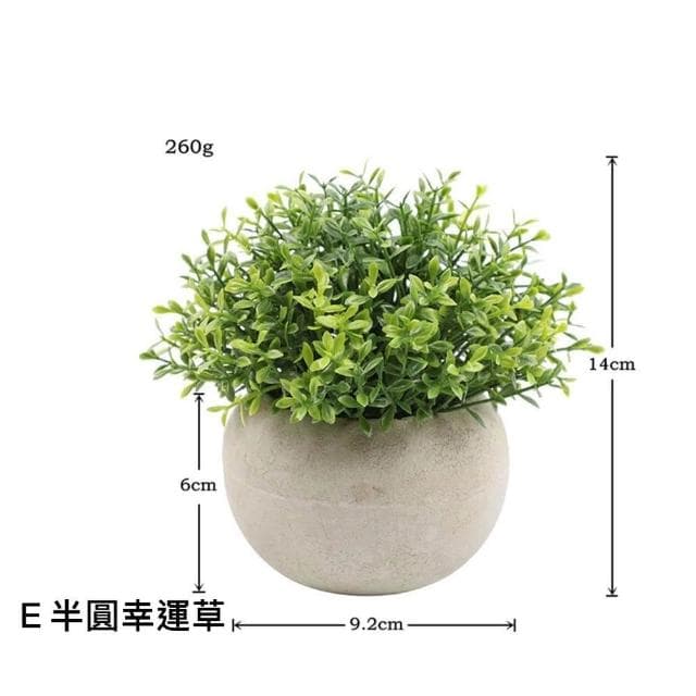 【Warm House Decor 暖和家居】北歐綠化仿真植物 (小盆栽 桌面小盆栽 假植物 盆栽 辦公室綠化 仿真植物)