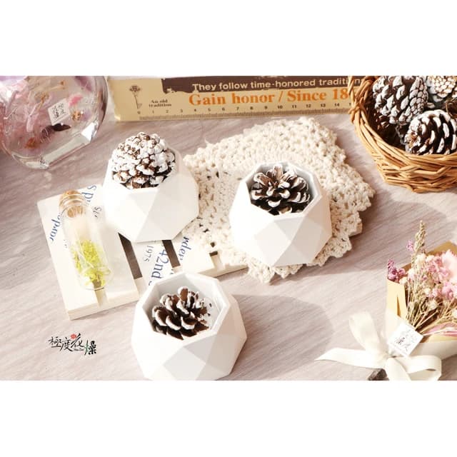 【極度花燥】擴香盆資材