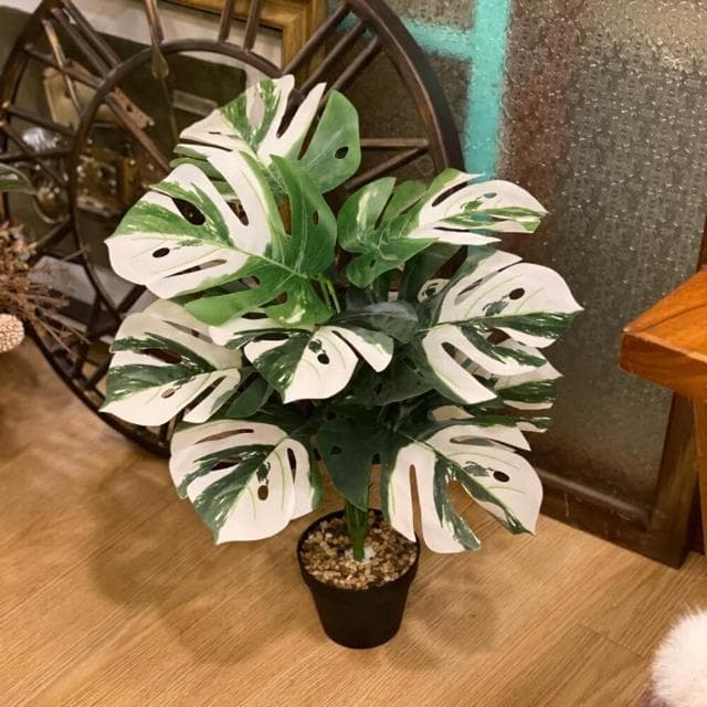 龜背葉 仿真植物 假盆栽 龜背芋 室內植物 花 植物 植栽 假植物 人造植物 GXS拍照道具(仿真植物 假盆栽)