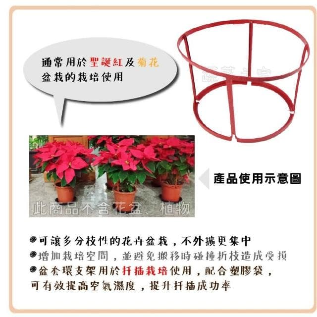 【蔬菜之家】7吋盆套環荷蘭盆.栽培盆專用植物支架聖誕紅及菊花盆栽的栽培使用