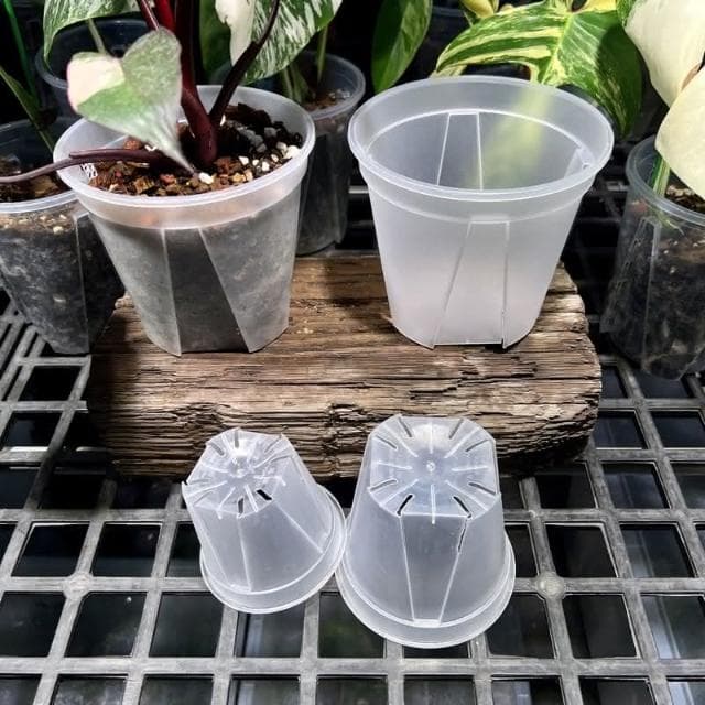 《斑啾植選》青山盆|4吋盆二入(觀葉植物專用盆|斑葉|合果芋|龜背芋|觀音蓮|室內植物|盆栽)