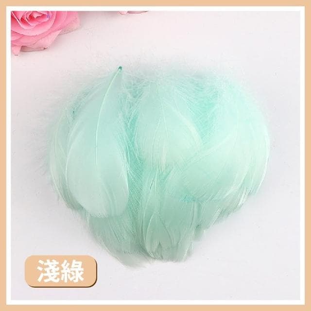 12H快速出貨 (氣球快易送)  約100根 羽毛 透明波波球 告白氣球 透明氣球 波波球 網美打卡 慶生 生日禮物 派對小物