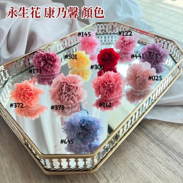 永生花玻璃罩 母親節禮物 康乃馨 乾燥花(永生花 乾燥花 母親節 禮物 媽媽生日)