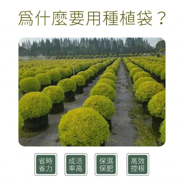 種植袋 有提把/無提把 移植袋 種植袋育苗袋 植物袋 植栽袋 植樹袋 不織布 無紡布 美植袋 移植袋育苗袋