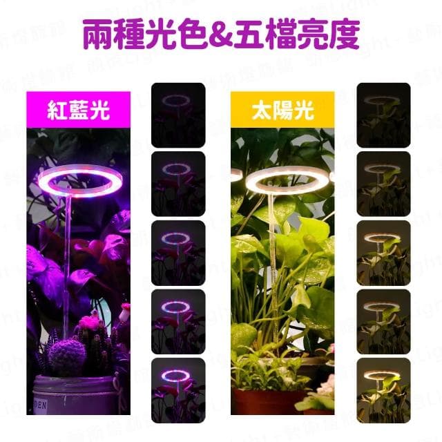 天使環植物燈 植物生長燈 植物日照燈 植物燈管 多肉燈 補光燈 夾燈 燈管 盆栽燈 紅藍燈 生長燈 水草燈