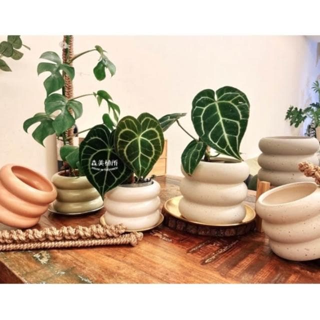 陶盆 米其林甜甜圈噴點盆 觀葉植物 水泥盆 盆器 盆栽 陶器 植栽 簡約盆 多肉盆