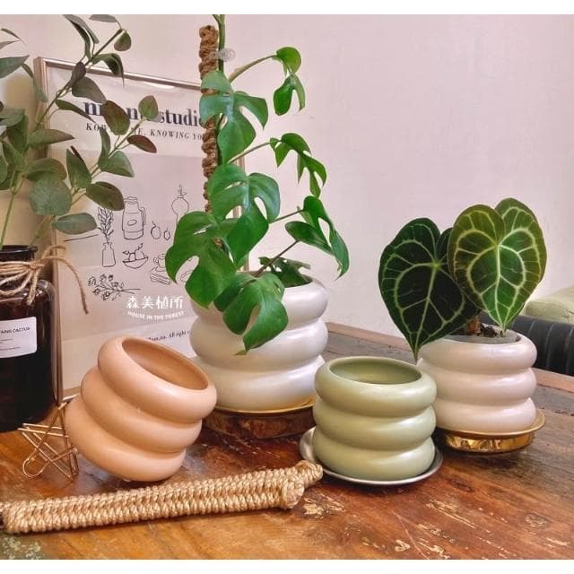 陶盆 米其林甜甜圈噴點盆 觀葉植物 水泥盆 盆器 盆栽 陶器 植栽 簡約盆 多肉盆