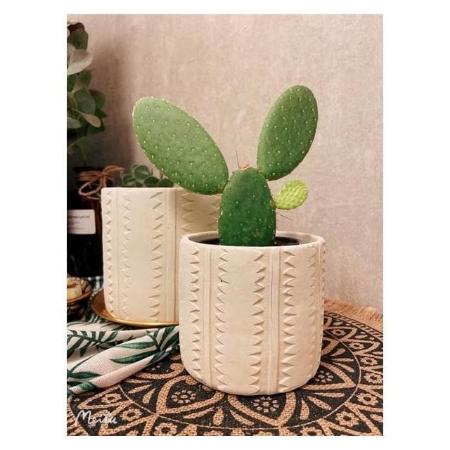 陶盆 米其林甜甜圈噴點盆 觀葉植物 水泥盆 盆器 盆栽 陶器 植栽 簡約盆 多肉盆