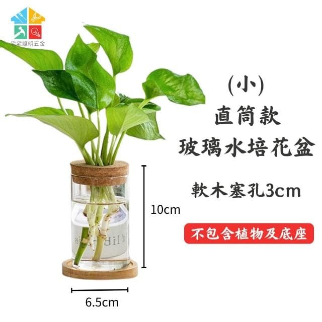 【含軟木塞】玻璃水培造型花盆 水耕植物盆 懶人花盆 水培盆 可養魚 水耕 觀賞盆栽 多肉植物 懶人盆栽