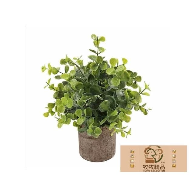 免運 現貨 北歐綠化盆栽 仿真植物 小盆栽 盆栽 辦公室盆栽 桌面小盆栽 室內盆栽 植物擺飾 綠化植物 植物