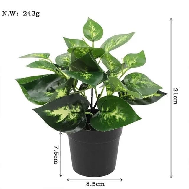 免運 現貨 北歐綠化盆栽 仿真植物 小盆栽 盆栽 辦公室盆栽 桌面小盆栽 室內盆栽 植物擺飾 綠化植物 植物