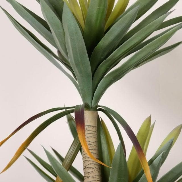 合枋傢俱 仿真龍舌蘭盆栽 大型仿真綠植室內落地裝飾擺件 仿生熱帶植物造景