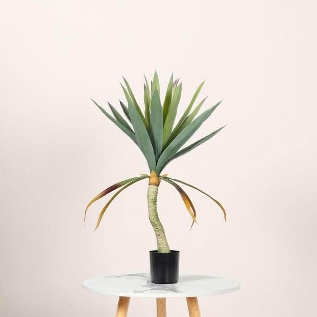 合枋傢俱 仿真龍舌蘭盆栽 大型仿真綠植室內落地裝飾擺件 仿生熱帶植物造景