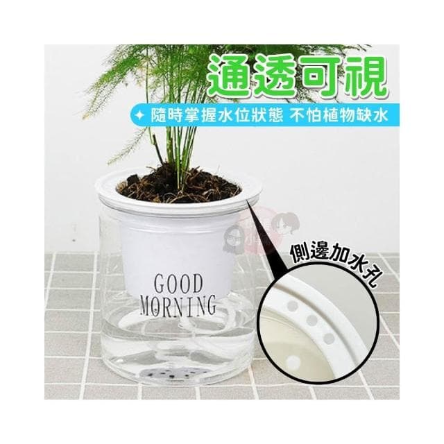 【琳媛小舖】吸水花盆 自動吸水盆栽 透明花盆 懶人盆栽 塑膠盆栽 水耕植物 花盆 綠植 簡約花盆 GA003