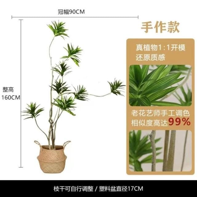 仿真綠植百閤竹大型北歐室內客廳櫥窗網紅造型假植物造景盆栽擺件居傢裝飾 仿真植物 人造樹 假樹 假植物